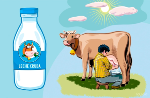 ¿Por qué leche cruda?