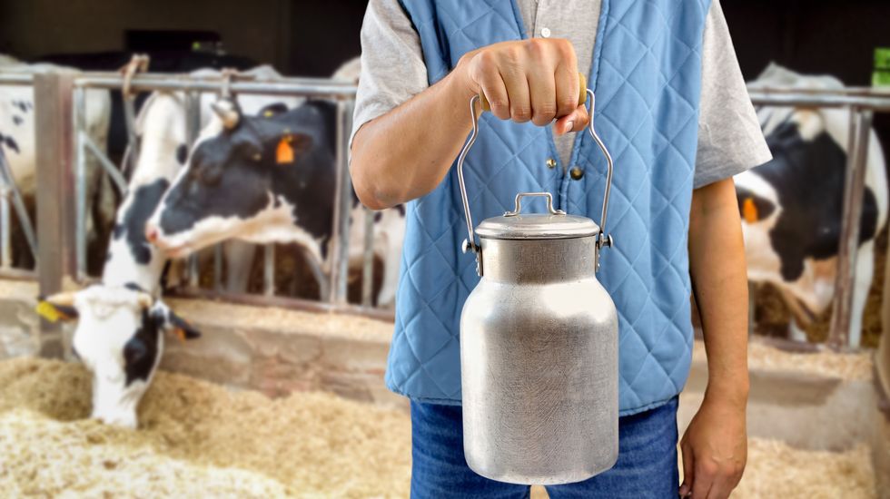 venta de leche cruda desde las ganaderías