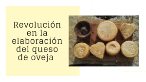 REVOLUCIÓN EN LA ELABORACIÓN DE QUESO DE OVEJA