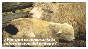 ¿Por qué es necesaria la información del ordeño?