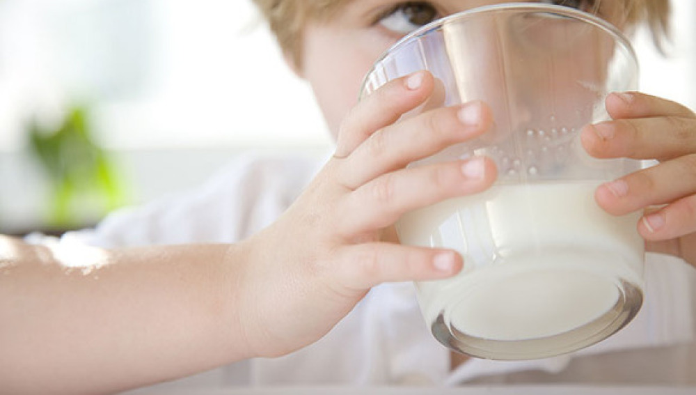 Lácteos, ¿ayudan a prevenir enfermedades?