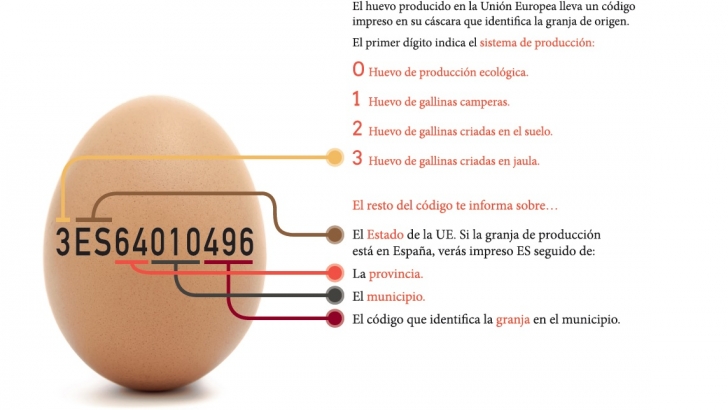 significado código impreso en la cáscara de huevo
