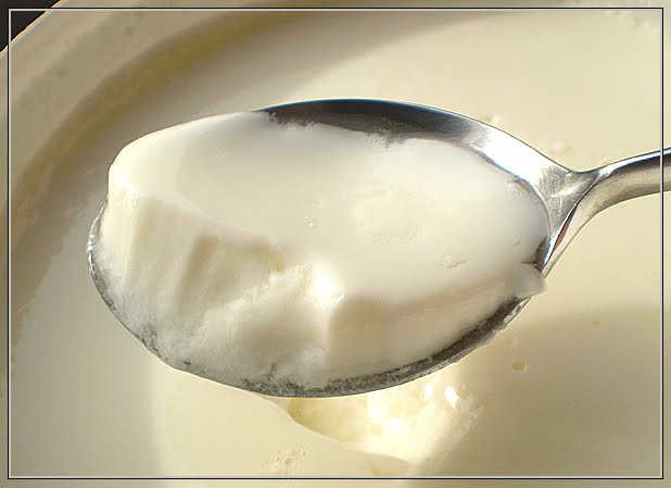 yogur de oveja