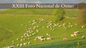 XXIII Foro Nacional de Ovino